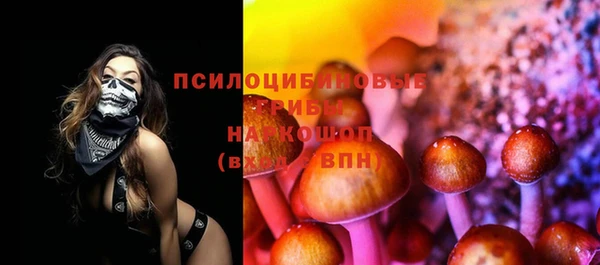 молекула духа Алзамай