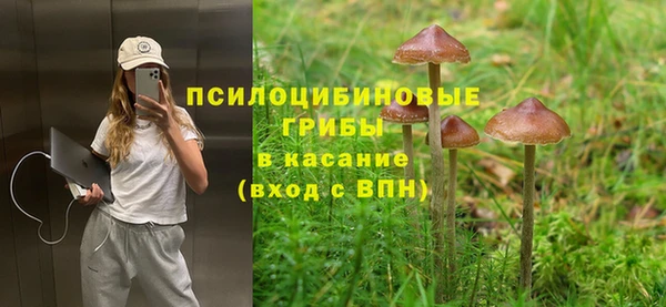 дмт Алексеевка