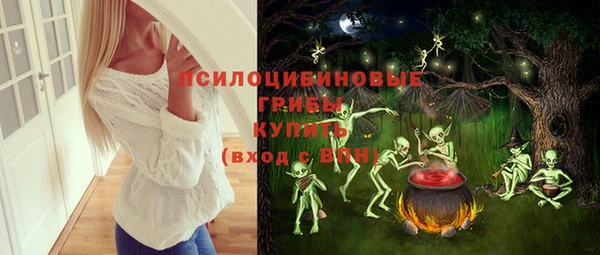 молекула духа Алзамай