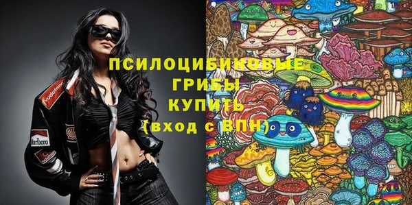 амф Алексин